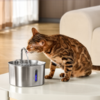 Fuente de agua de 2,2 l - gato bebiendo junto a la fuente sobre una mesa