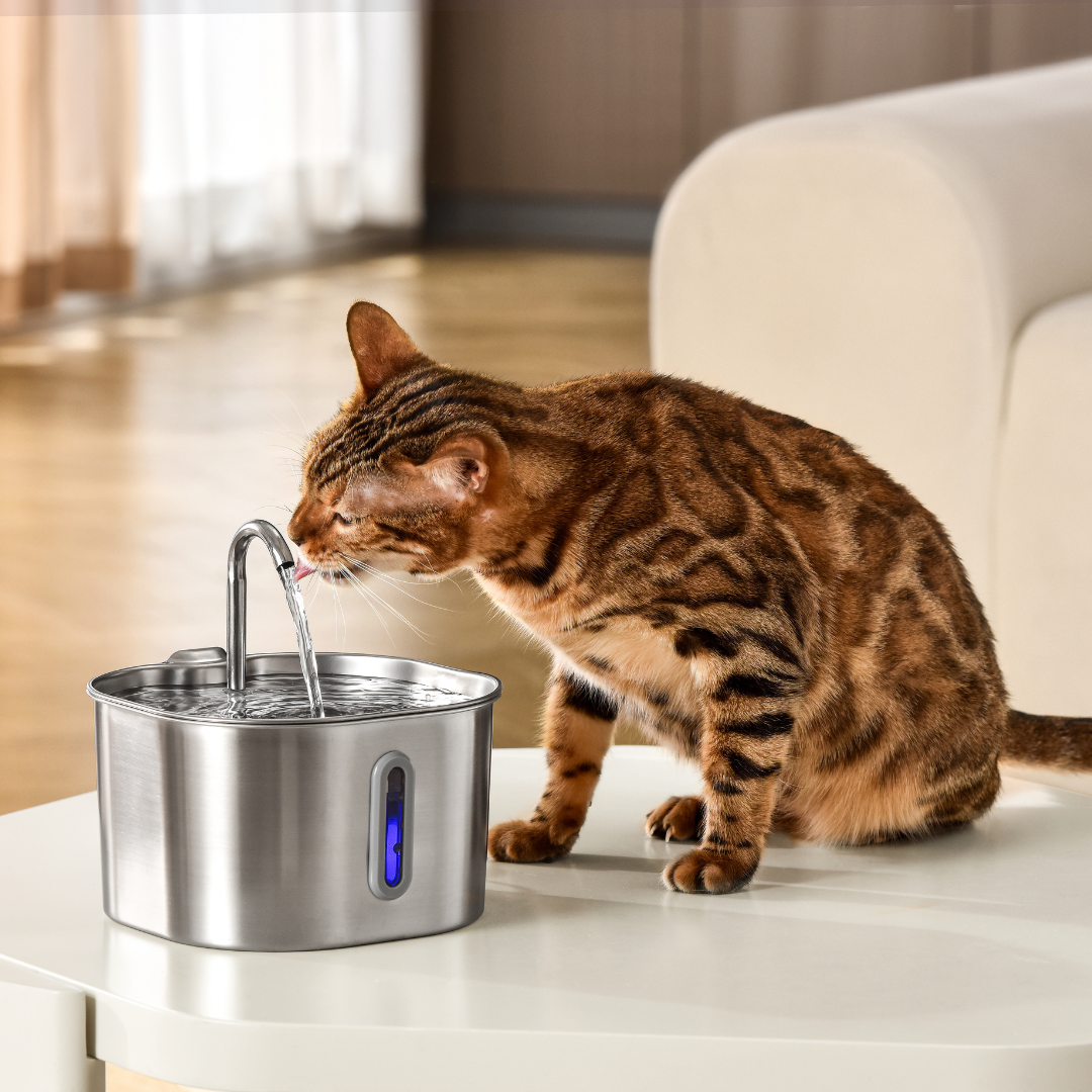 Fuente de agua de 2,2 l - gato bebiendo junto a la fuente sobre una mesa
