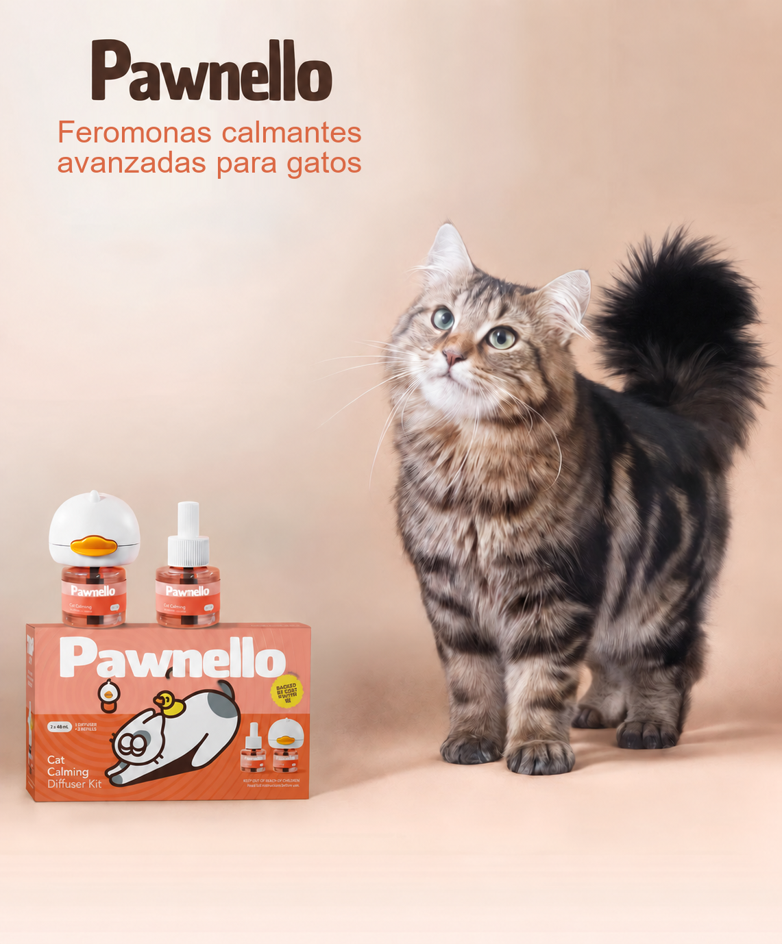 No Busques Otro Hogar para Tu Gato