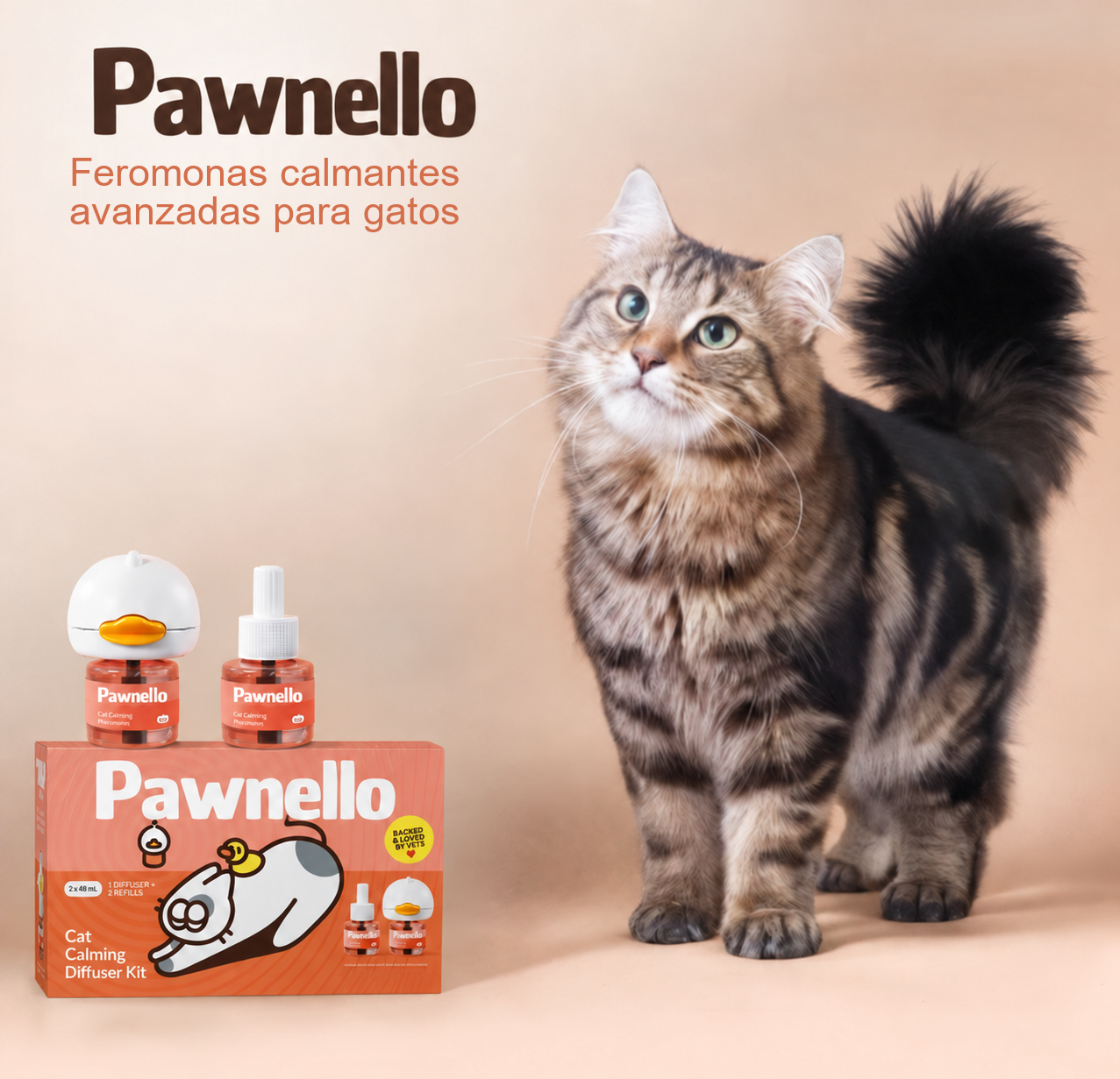 No Busques Otro Hogar para Tu Gato